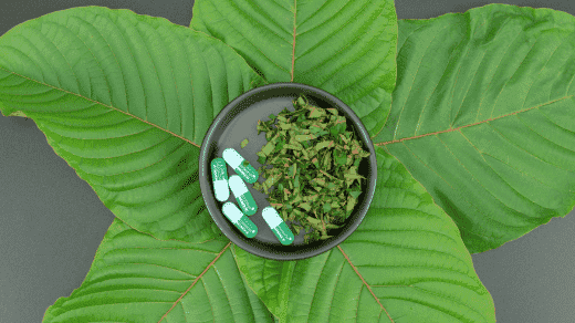 Exploring the Effects of Green Elephant Kratom: A Comprehensive Overview